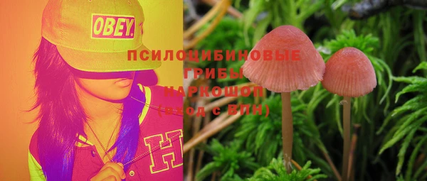 mix Абаза